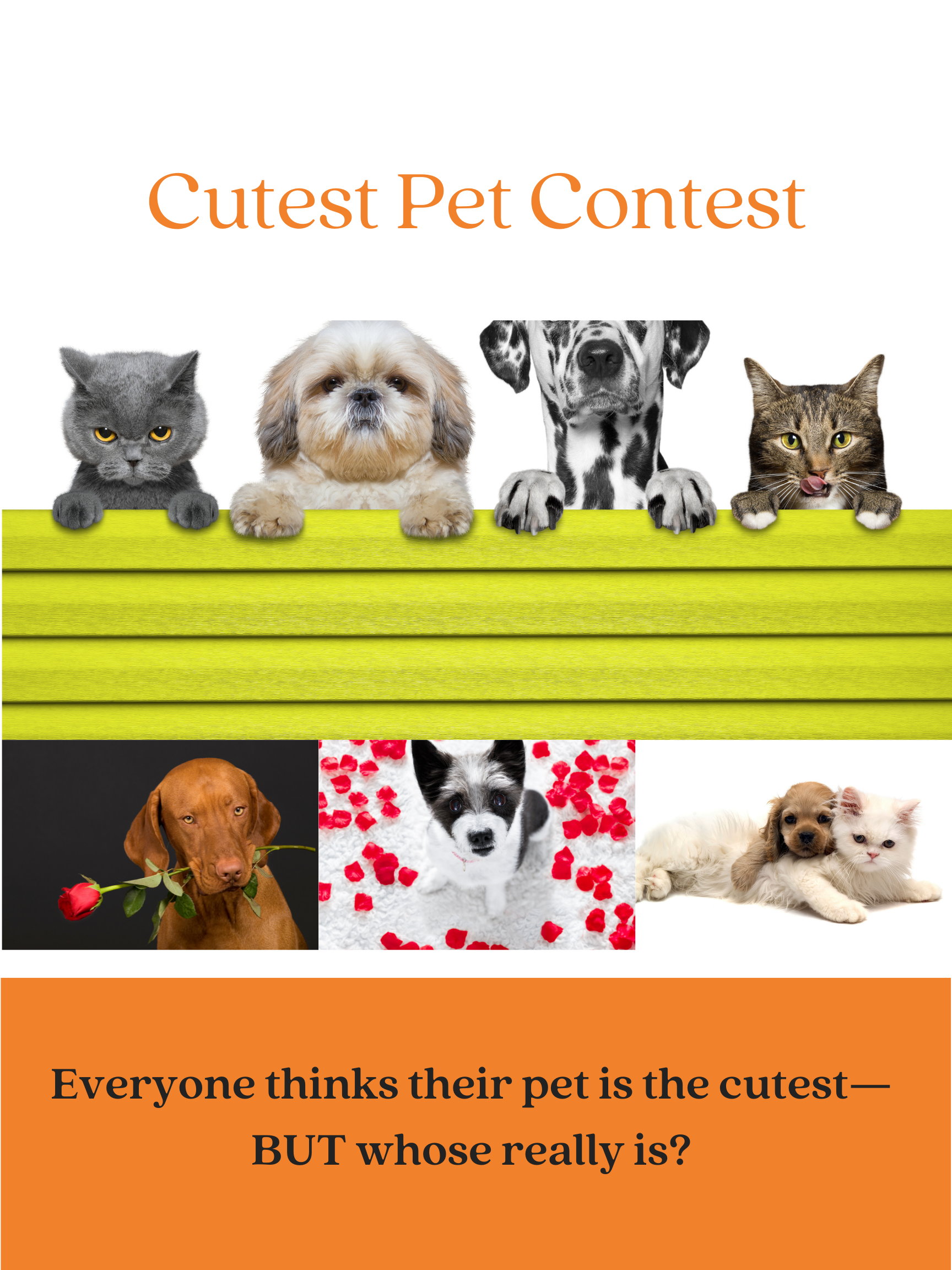 cutest dog contest 2022